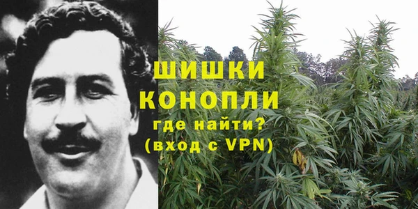 прущие грибы Беломорск