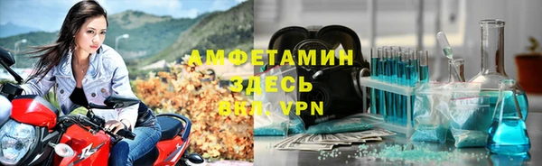 прущие грибы Беломорск