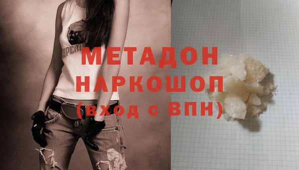 прущие грибы Беломорск
