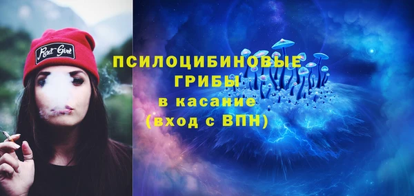 бутират Богородицк