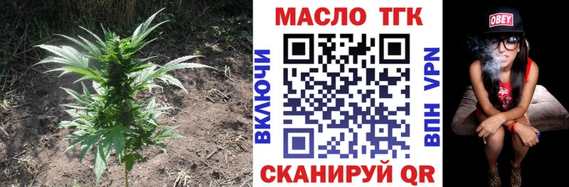сколько стоит  Боровск  ТГК THC oil 